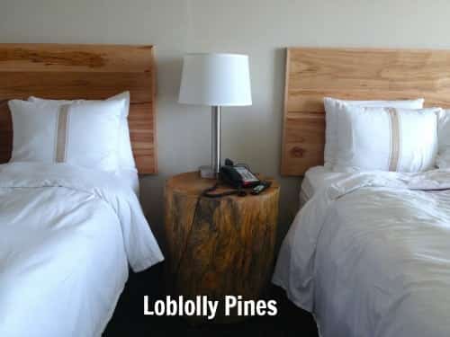 Loblolly Pines from the Bastrop fires are repurposed at Schlitterbahn South Padre
