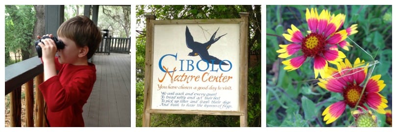 Cibolo Nature Center to birdwatch over Spring Break in San Antonio