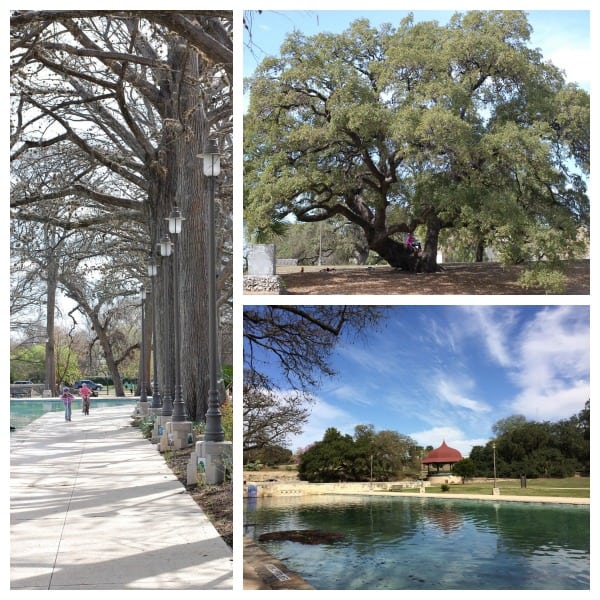Visiting San Pedro Springs Park in San Antonio, the second oldest park in the country