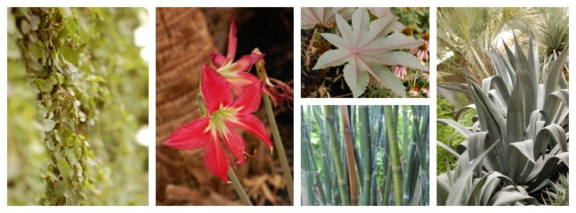 Chrispark in San Antonio, Texas, is home to 18 different plant species