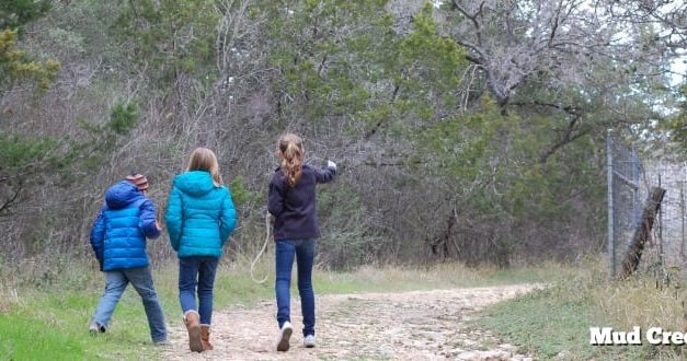 Mud Creek Park in San Antonio, Texas (#19 for #SA2020Resolutions)