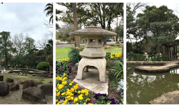 Tour San Antonio’s Asian Gardens