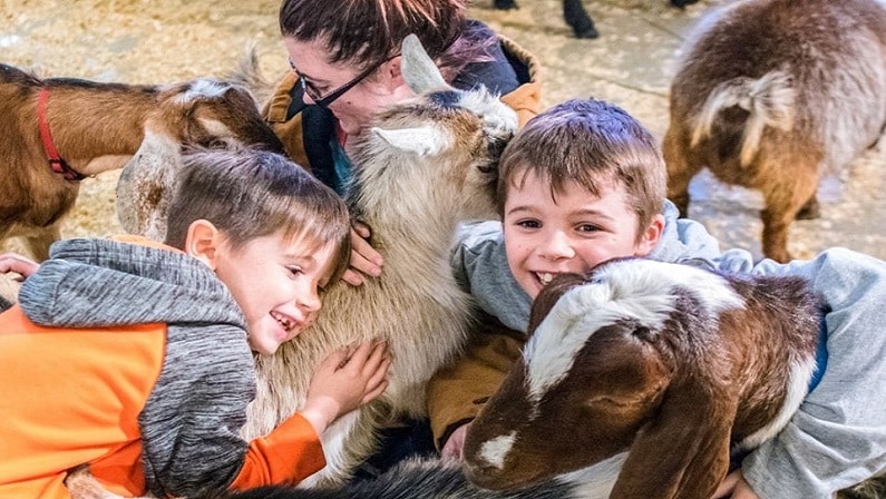 The Best Kid Friendly Guide to the San Antonio Stock Show & Rodeo