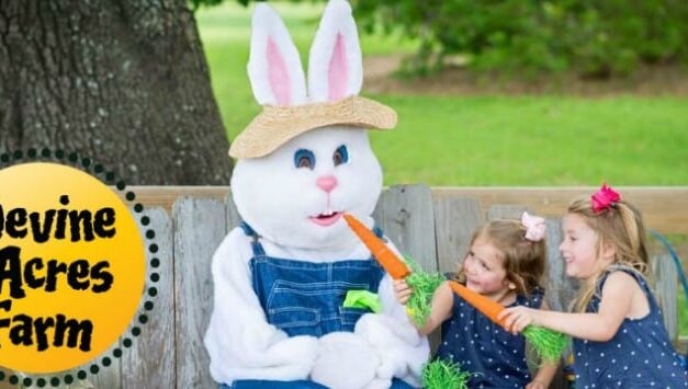 For Refresh or Sponsored Post – Family fun, Texas wildflowers, and an EGGstravaganza at Devine Acres Farm!