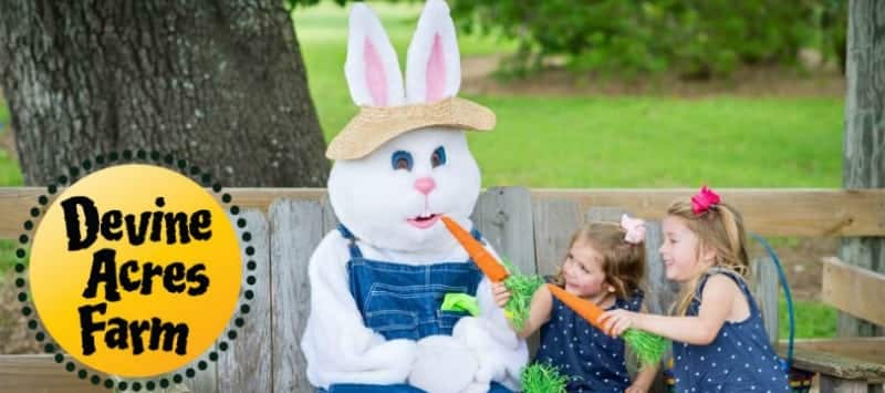 For Refresh or Sponsored Post – Family fun, Texas wildflowers, and an EGGstravaganza at Devine Acres Farm!
