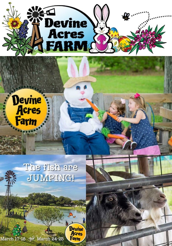Spring at Devine Acres Farm near San Antonio