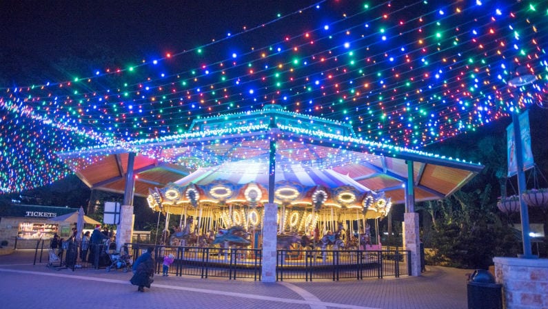 San Antonio Zoo Lights Guide: 2021 Schedule, Tickets, Discounts and More