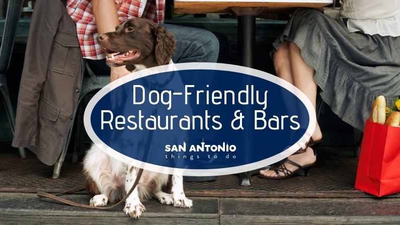 The Best Dog Friendly Restaurants and Bars in San Antonio