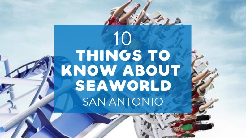 10 Things to Know about SeaWorld San Antonio TX