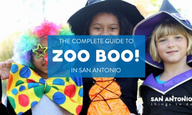 For Refresh or Sponsored Post – 5 Reasons to Take Your Kids to Zoo Boo in San Antonio