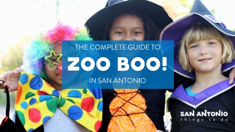 For Refresh or Sponsored Post – 5 Reasons to Take Your Kids to Zoo Boo in San Antonio