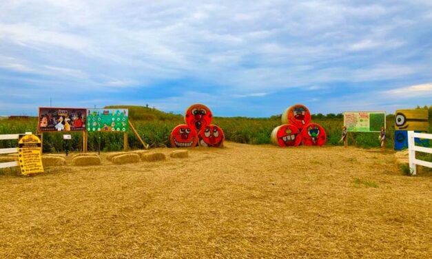 For Refresh or Sponsored Post – Traders Village’s Corny Maze Offers So Much More Than Just 10 Acres of Fun