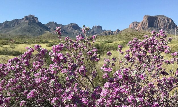 For Refresh or Sponsored Post  – Free National Park Days Schedule: 5 Free Days in 2020