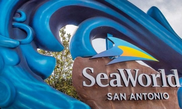 SeaWorld San Antonio Donates 6,000 Pounds of Food