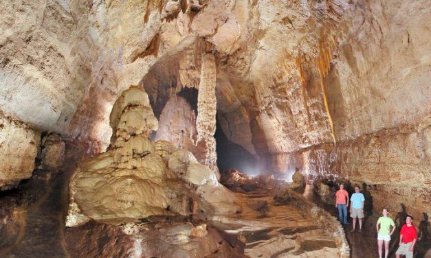 Natural Bridge Caverns In San Antonio: Hours, Tickets, Coupons, and More