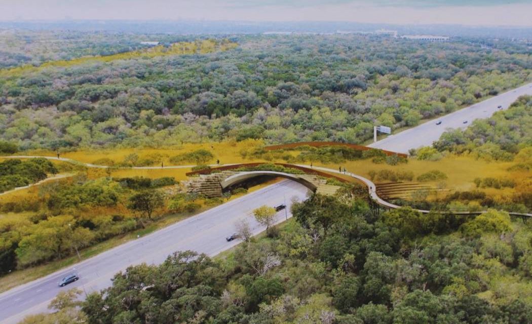 San Antonio Opens Largest Wildlife Bridge in U.S. at Hardberger Park
