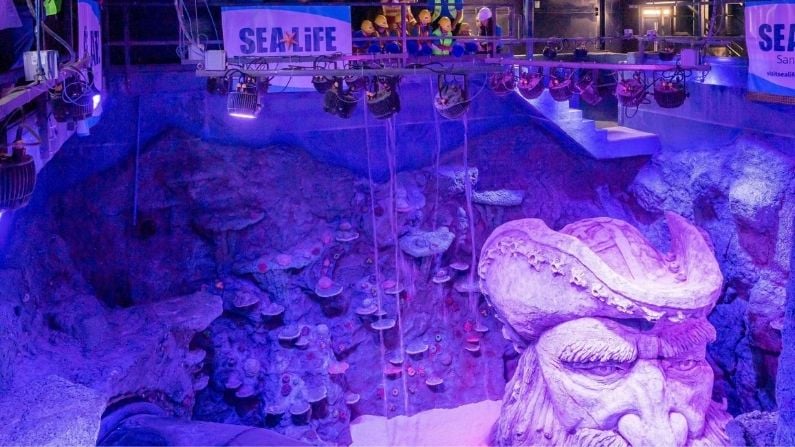 A new aquarium with an underwater ocean tunnel is about to make waves in San Antonio