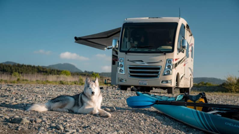 Dog sitting in front of RV