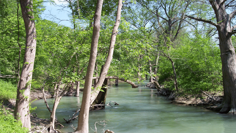 San Antonio Fishing Spots - Medina River