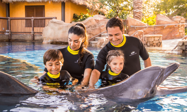 5 San Antonio SeaWorld upgrades that can take your adventure to the next level