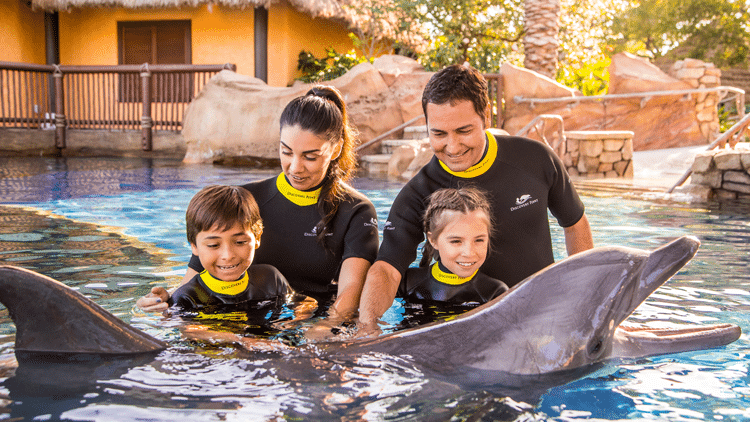 SeaWorld Family With Dolphins