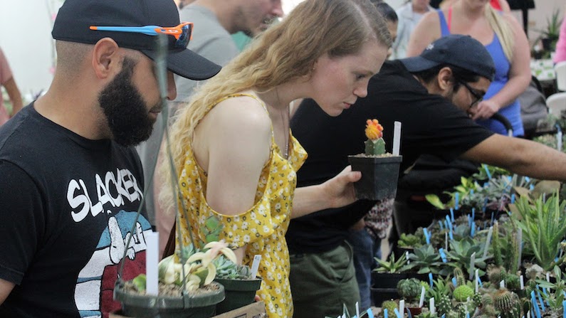 Things To Do This Weekend in San Antonio Plant Event