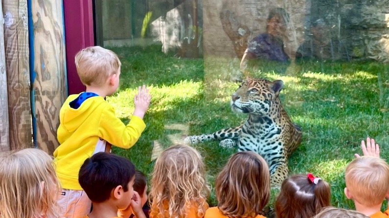 Things To Do This Weekend With Kids in San Antonio SA Zoo