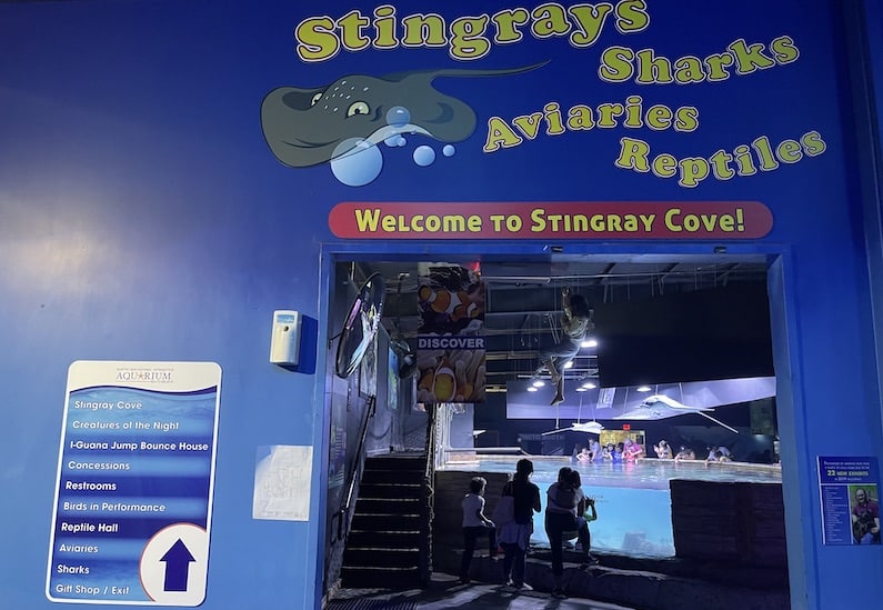 Stingray and shark entrance 