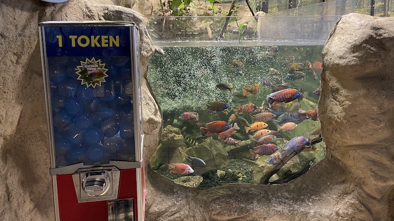 token machine at sa aquarium