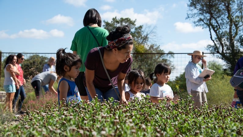 13 things to do in San Antonio with kids this Labor Day weekend of September 2, 2022 include Family Outdoors Event at Phil Hardberger, Labor Day at Market Square, and more!