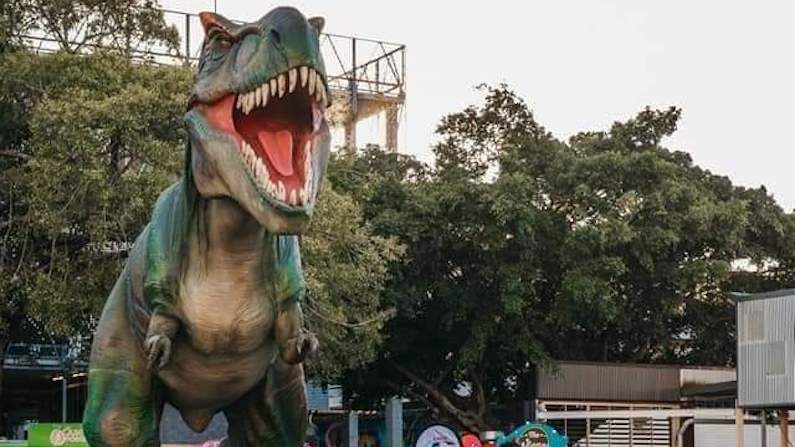 things to do this weekend with kids in san antonio Dinosaur at the Dino Expo