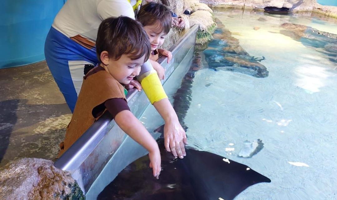 San Antonio Aquarium Guide: Tickets, Hours, Map and More!