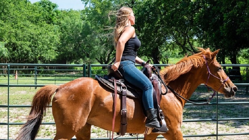 Horse Riding Lessons in San Antonio - Equal Partners Horsemanship