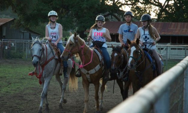 Horseback Riding in San Antonio: Horse Riding Lessons For Adults and Kids Near You