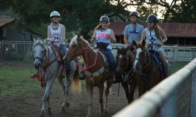 Horseback Riding in San Antonio: Horse Riding Lessons For Adults and Kids Near You