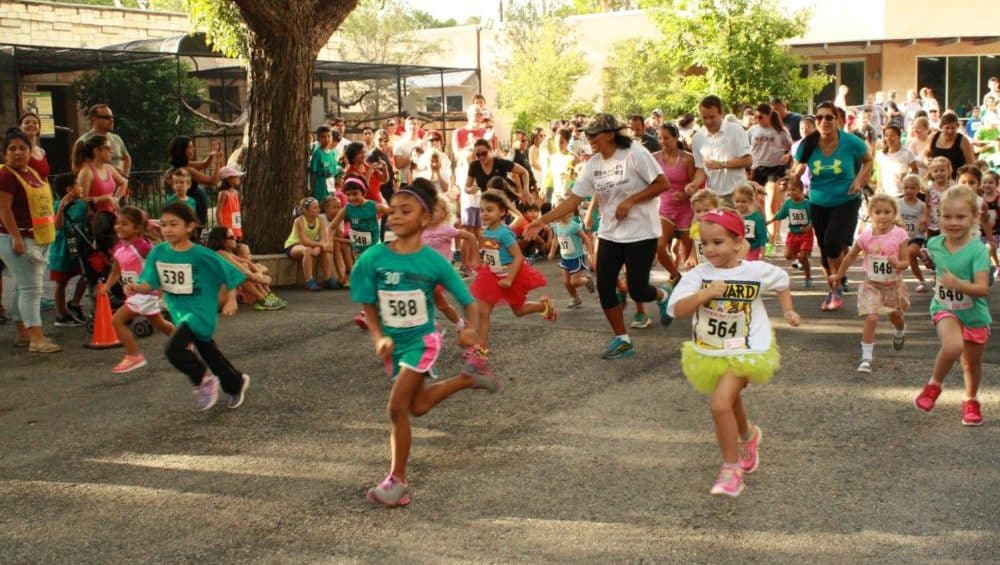 Things to do in San Antonio with Kids this weekend of September 9 2022 | Zoo Run Relay & Kids Run