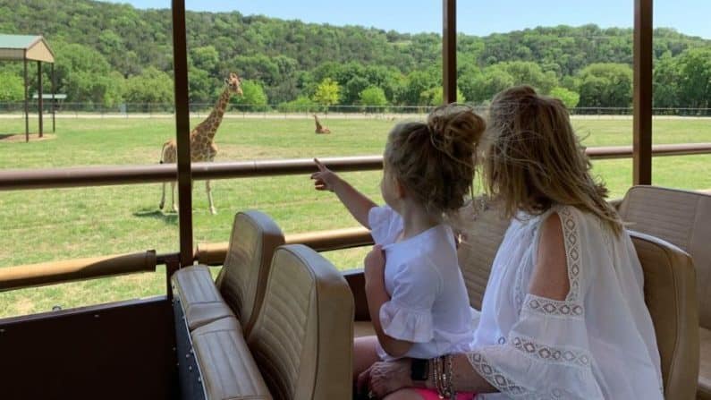 Things to do in New Braunfels - Natural Bridge Wild Life Ranch