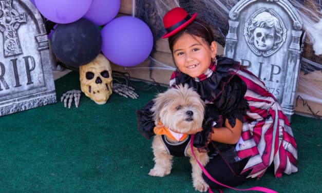 10 things to do in San Antonio with kids this weekend of October 21, 2022 include 2nd Annual Howl-O-Ween, Eddie & Vinnie at Magik Theatre, and more!