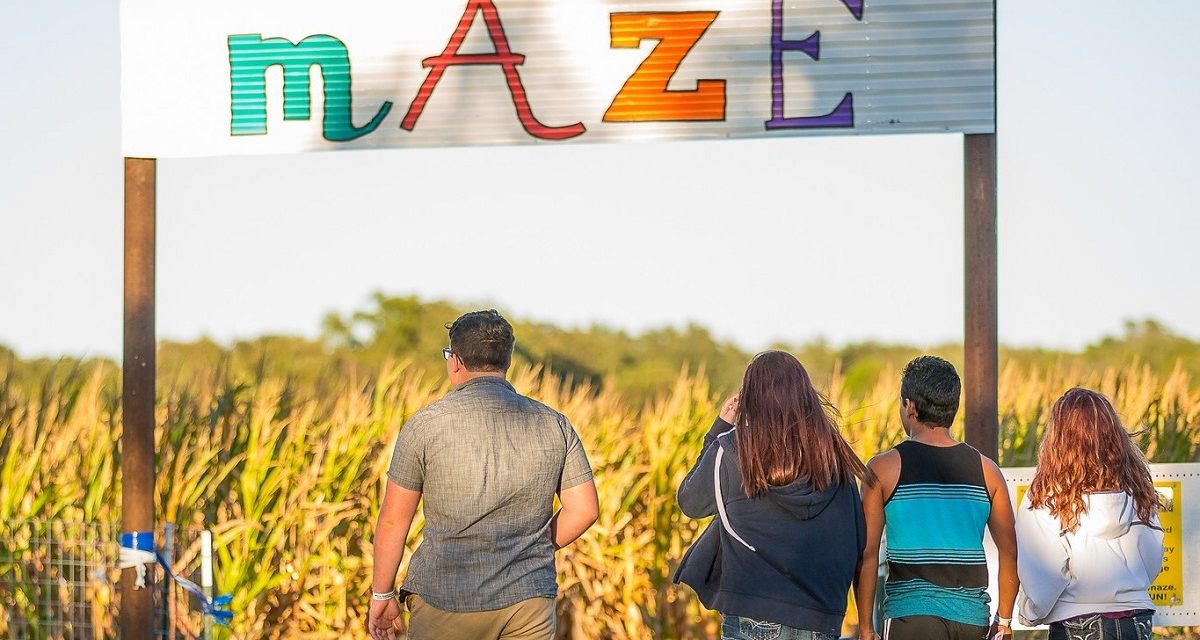 Corn maze San Antonio: 10 corn mazes near you for hay rides and other fun fall activities!