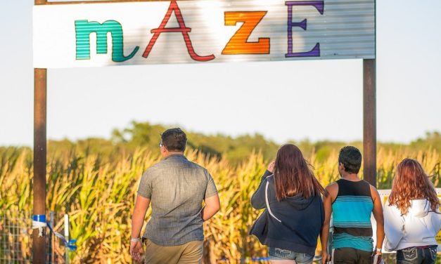 Corn maze San Antonio: 10 corn mazes near you for hay rides and other fun fall activities!
