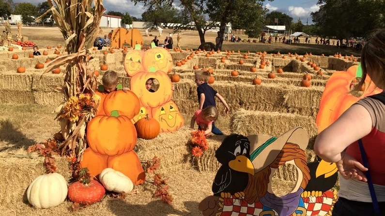 Pumpkin Patch in San Antonio - Love Creek Orchards and The Apple Store