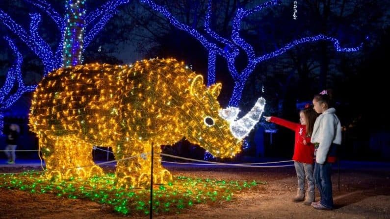 Things to do Thanksgiving Week in San Antonio - San Antonio Zoo Lights