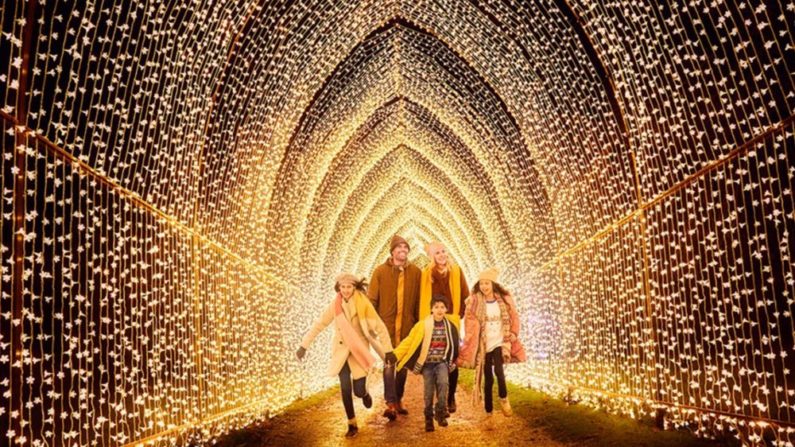 Things to do in San Antonio with kids this weekend of November 11 | Lightscape