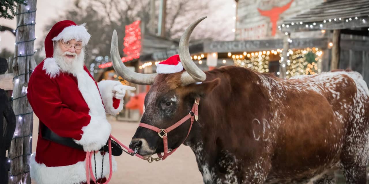 10 Fun Things To Do in San Antonio this Weekend of December 23, 2022 include Old West Christmas Light Fest at Enchanted Springs Ranch, Elf Acres, and more!