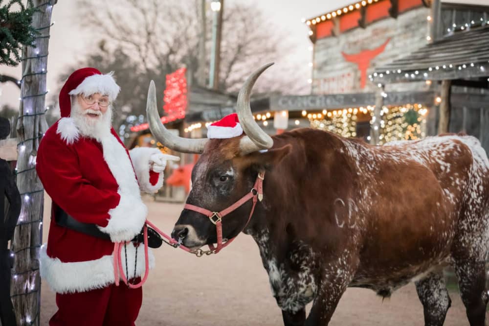 Things to do in San Antonio this weekend of December 23 | Old West Christmas Light Fest at Enchanted Springs Ranch