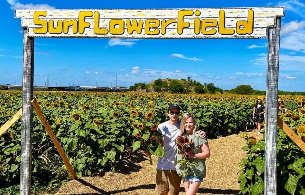 Traders Village Sunflower Field San Antonio 2023 – Your Ultimate Chance to Get Lost in a Sea of Sunshine