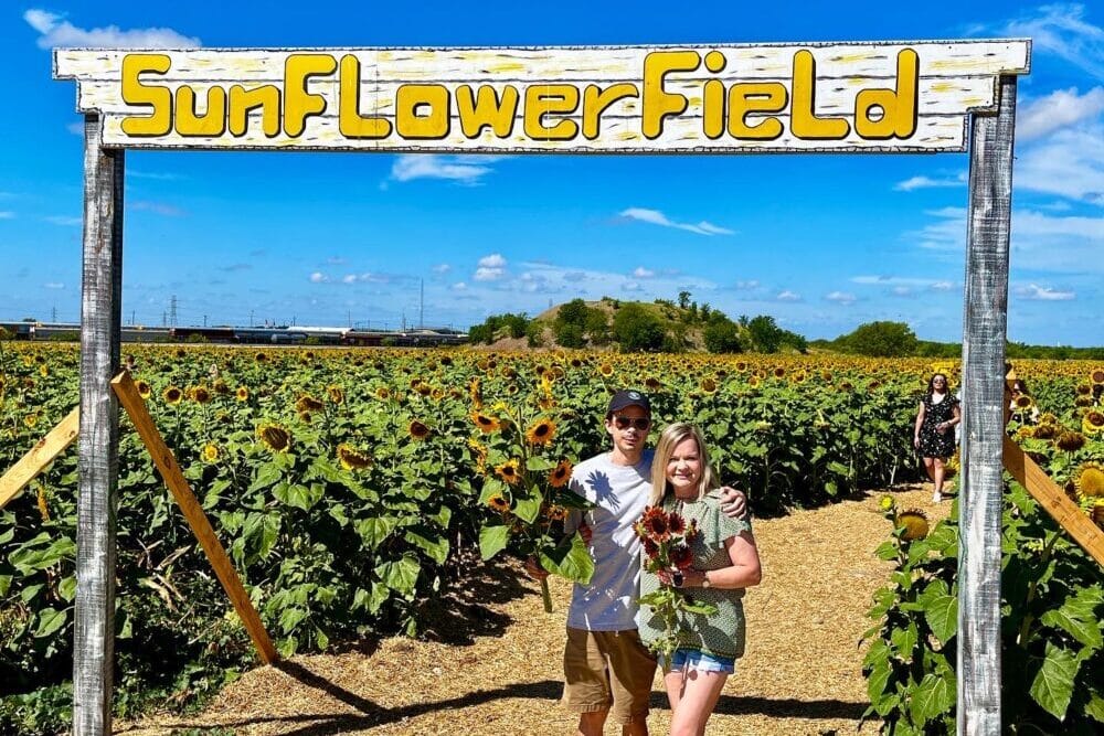 Traders Village Sunflower Field San Antonio 2023 – Your Ultimate Chance to Get Lost in a Sea of Sunshine