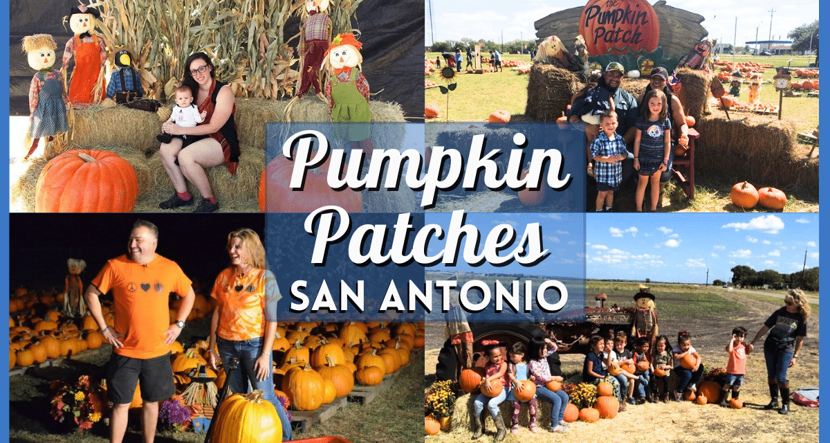 Pumpkin Patch San Antonio 2023 – Autumn Adventures for Families & More!