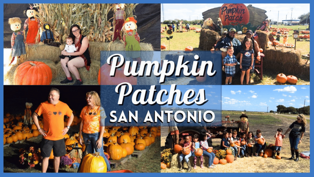 Pumpkin Patch San Antonio 2023 - Autumn Adventures for Families & More!