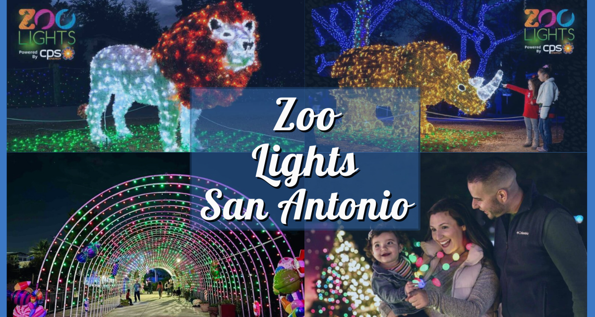 San Antonio Zoo Lights 2023 Guide – Hours, Tickets, and More!